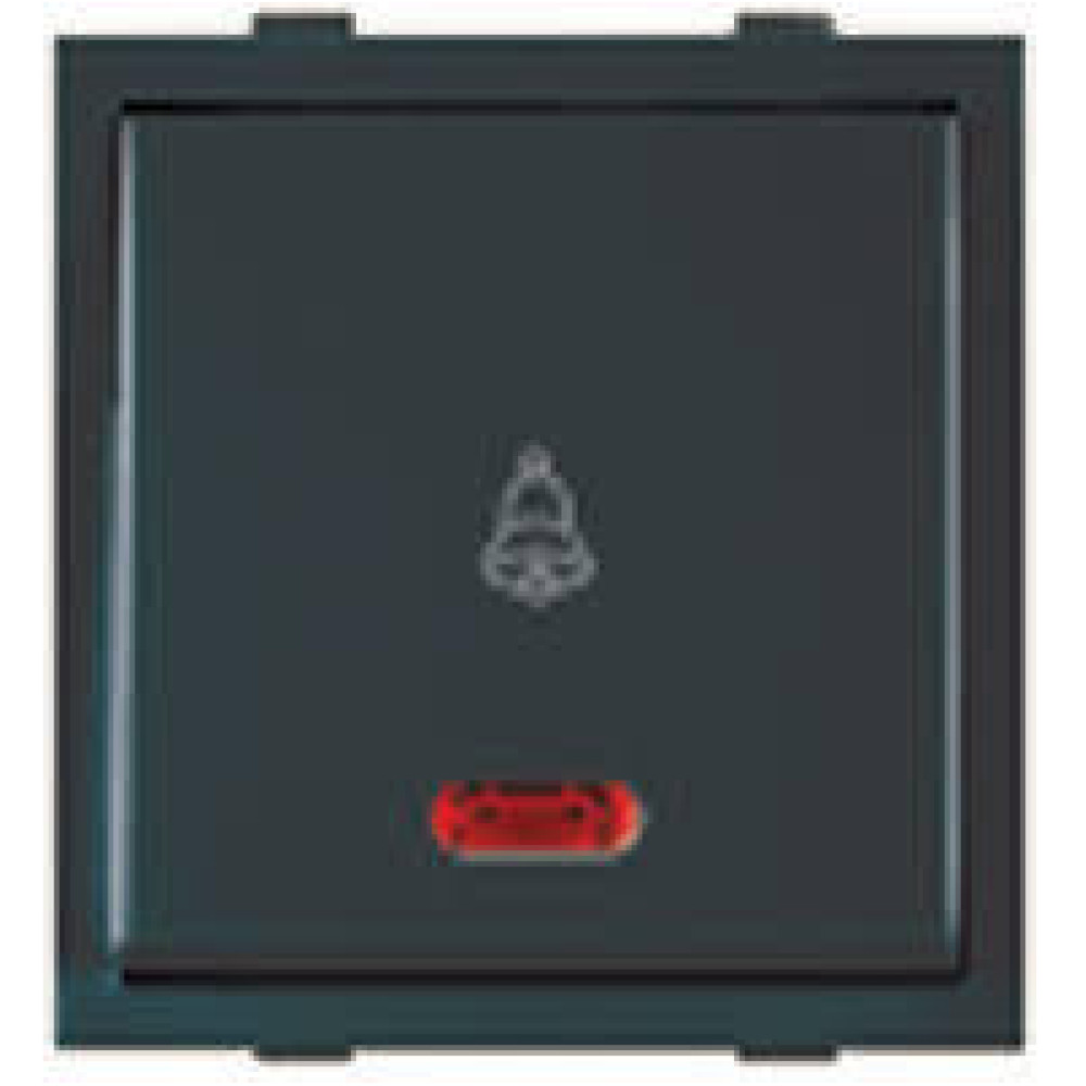 Bell Push With Neon Roma