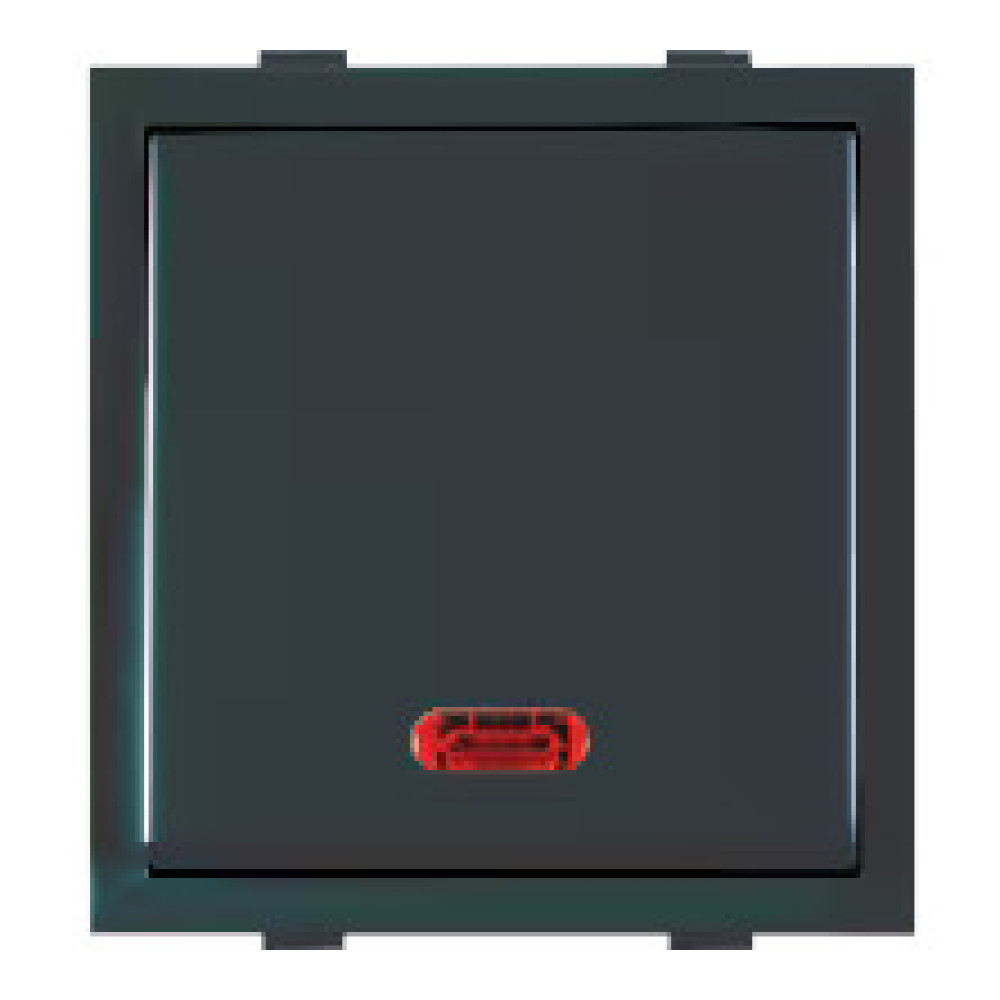 Dura Neon Switch |1Way|2M| RomaClassic_Anchor