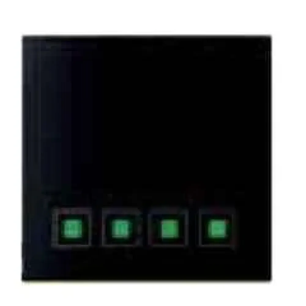 Multiple Touch Switch