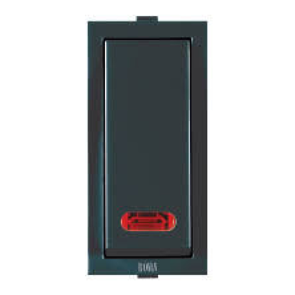 1 Way Switch With Neon Roma Classic