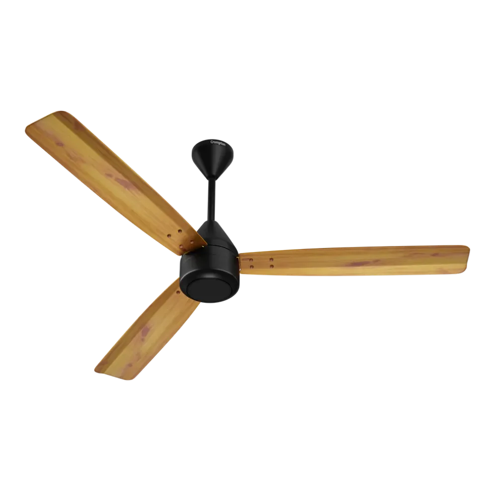Energion Cookie  Ceiling Fan | 1200mm BLDC| Crompton