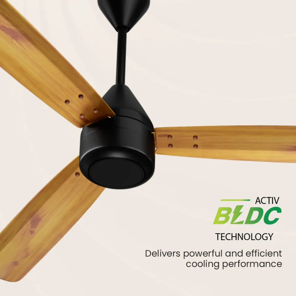 Energion Cookie  Ceiling Fan | 1200mm BLDC| Crompton