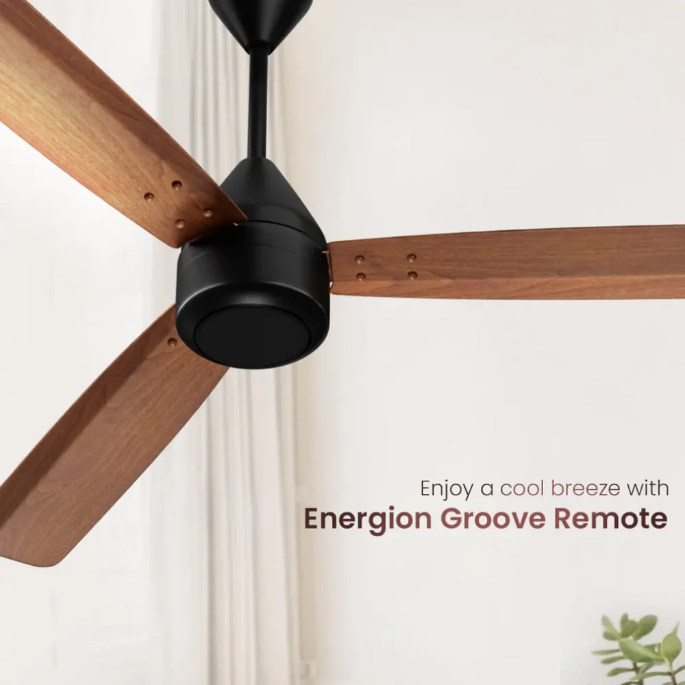 Energion Cookie  Ceiling Fan | 1200mm BLDC| Crompton