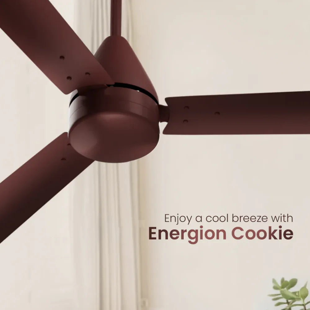 Energion Cookie  Ceiling Fan | 1200mm BLDC| Crompton