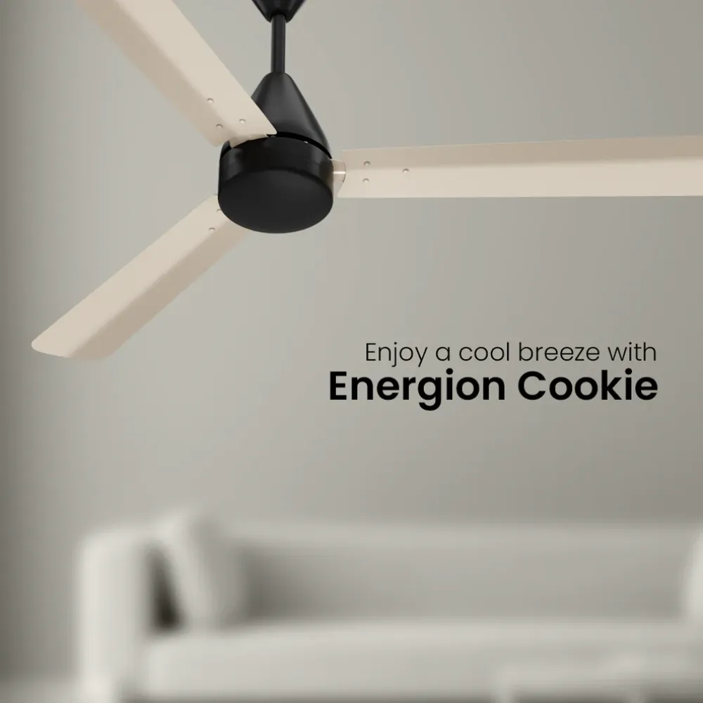 Energion Cookie  Ceiling Fan | 1200mm BLDC| Crompton
