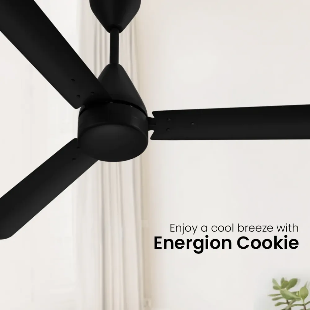Energion Cookie  Ceiling Fan | 1200mm BLDC| Crompton