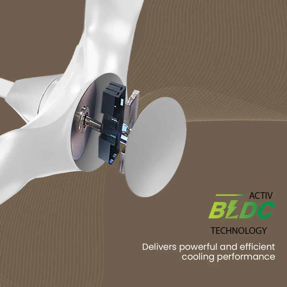 Silent Pro Enso Ceiling Fans | 1225mm BLDC | Remote Control | Crompton