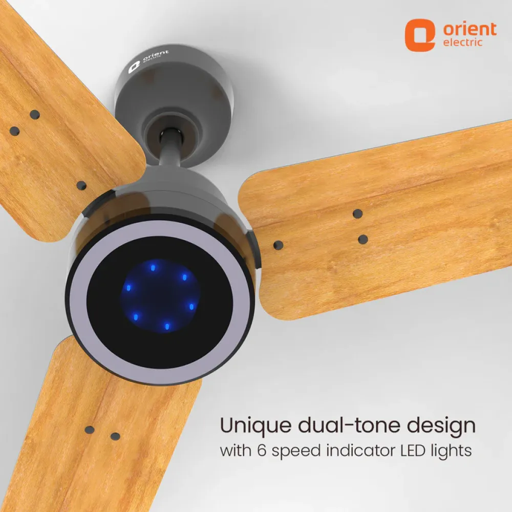 Ecotech Prime BLDC Ceiling Fan | 1200mm | Orient