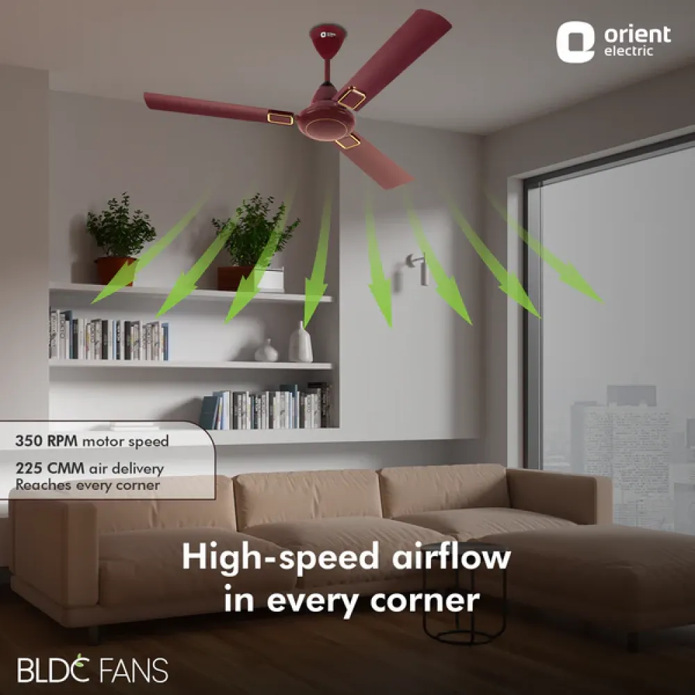 I-Falcon Deco BLDC Ceiling Fan | 1200mm | Orient