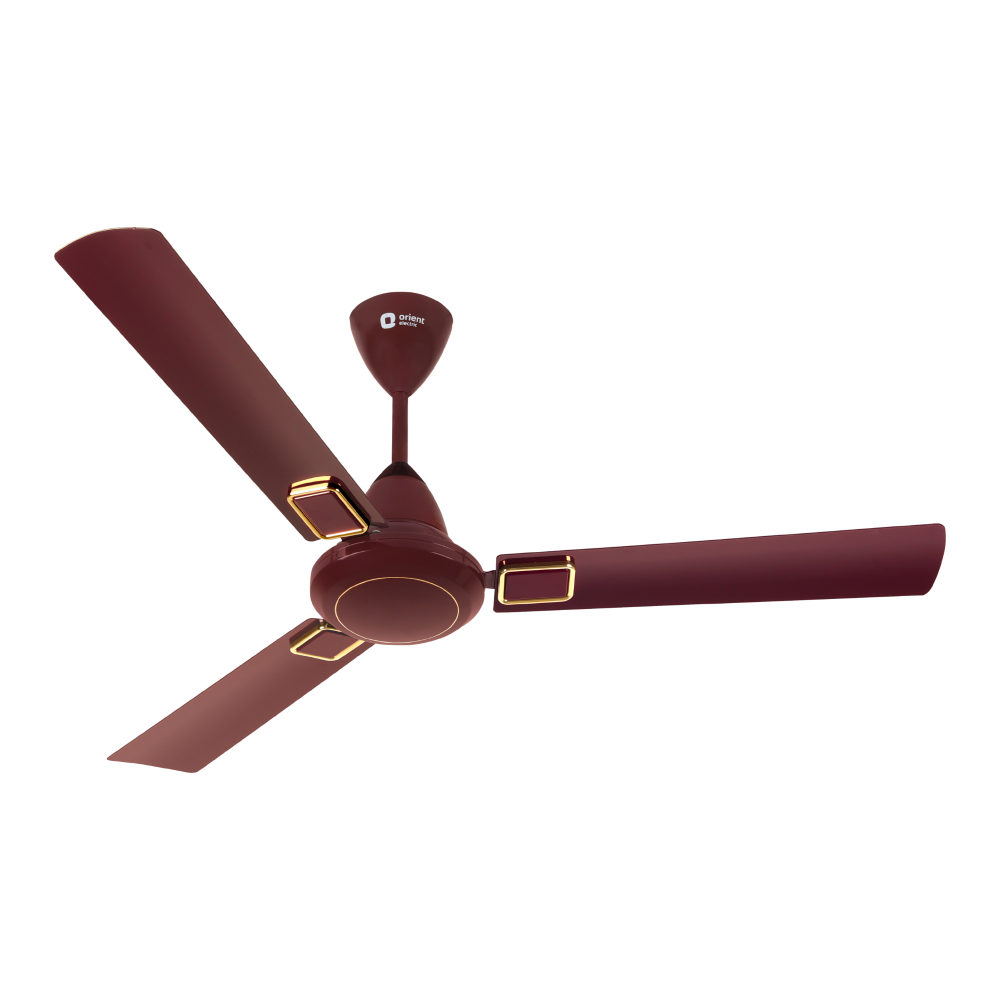 I-Falcon Deco BLDC Ceiling Fan | 1200mm | Orient