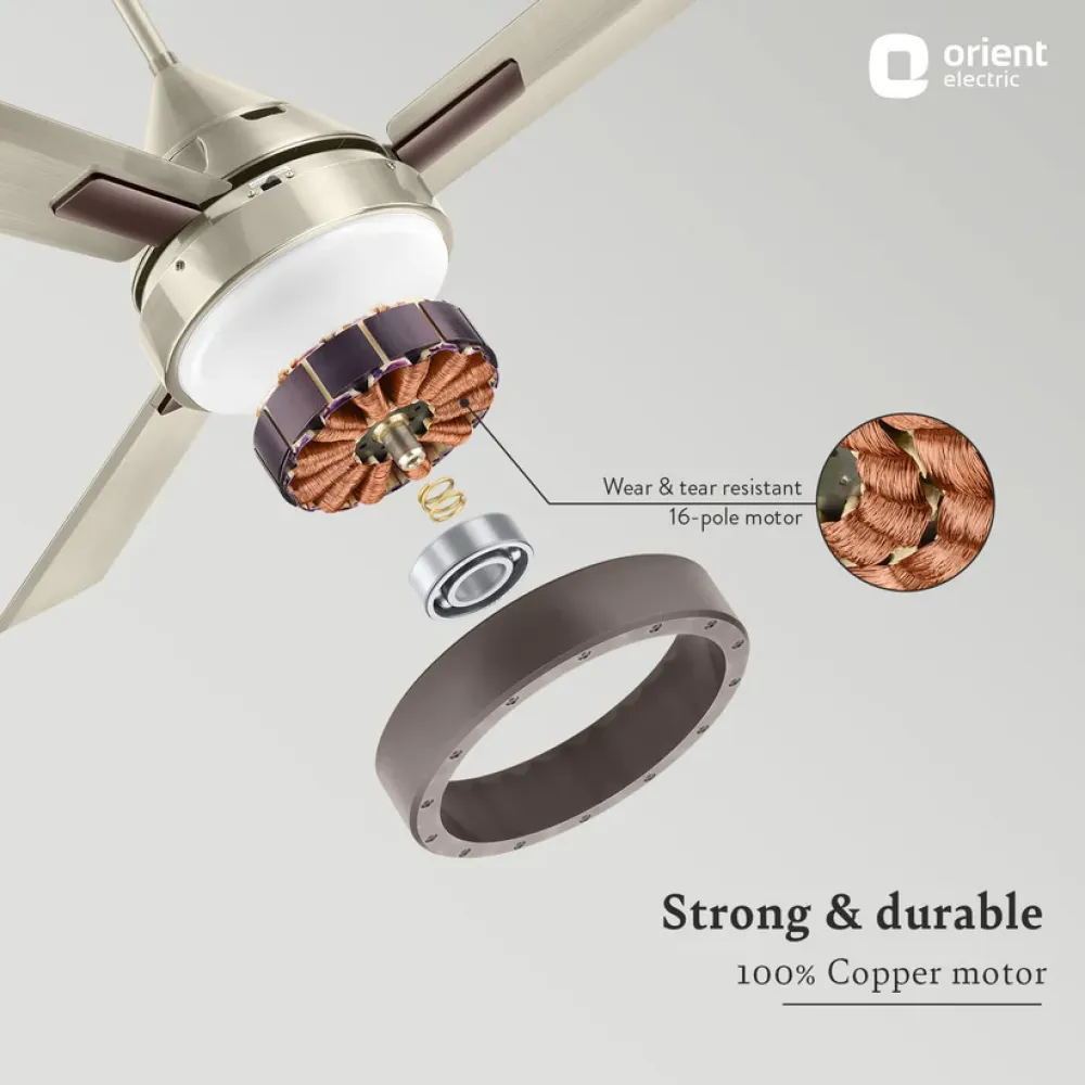 Spectra with Remote & Underlight Ceiling Fan |  1200mm | Remote Control | Orient